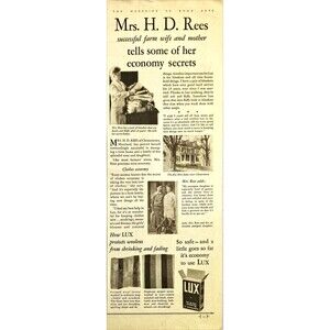 LUX Laundry and Dishwashing Soap "Mrs. HD Rees tells secrets" Vtg Print Ad 1931